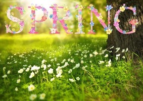 FEH BOCES Staff News and Notes | March 19, 2019