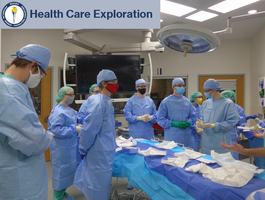 New Vision students exploring careers in health care