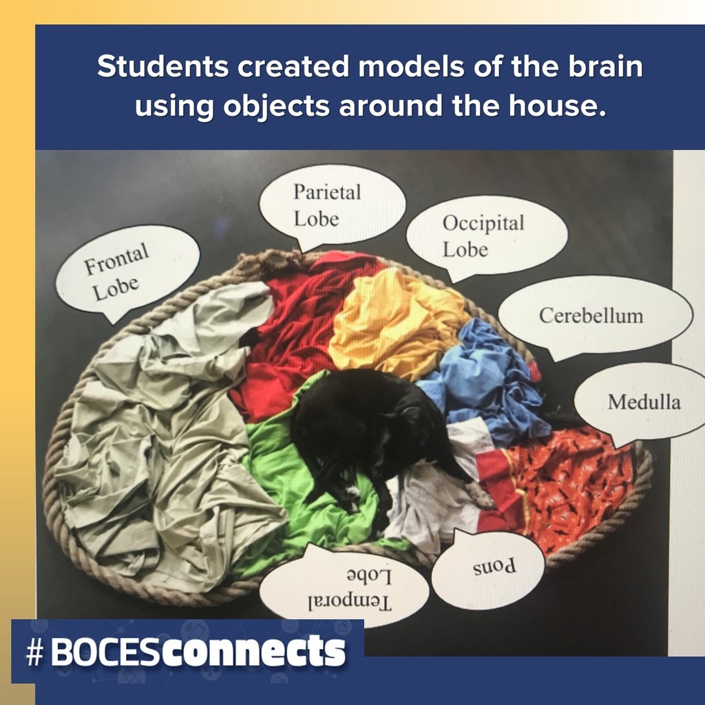 Items in a laundry basket  form a model of the brain.