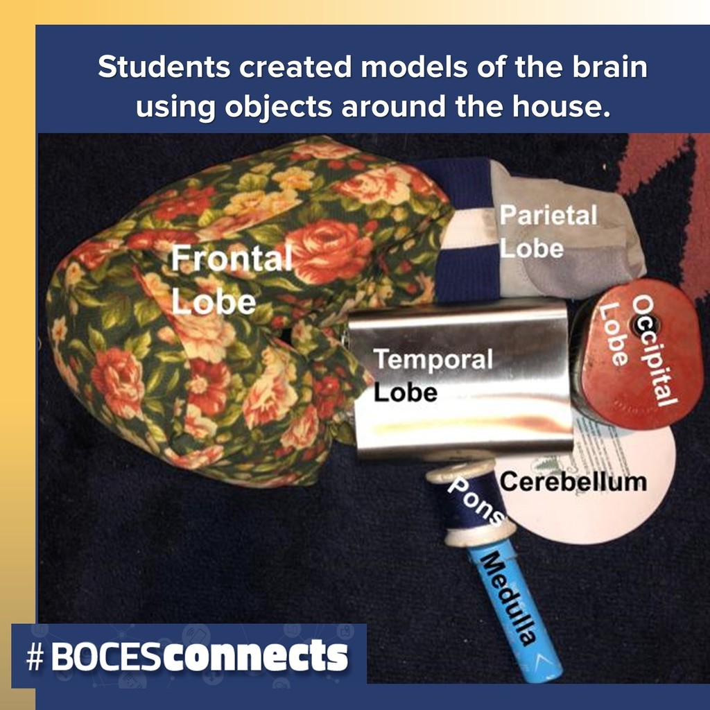 Household objects form a model of the brain.